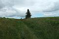2010-06- (104)